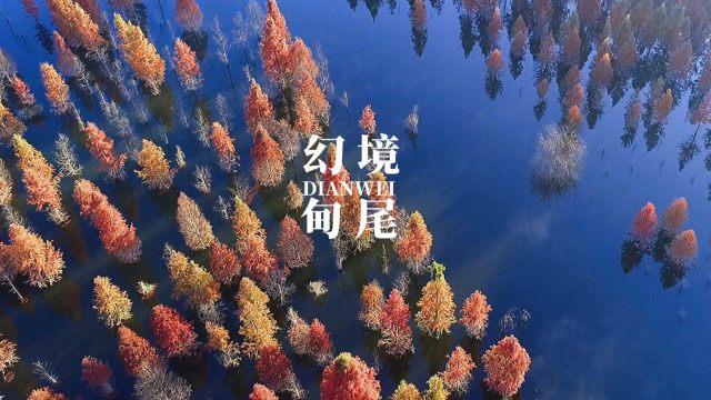 影视后期制作培训学校