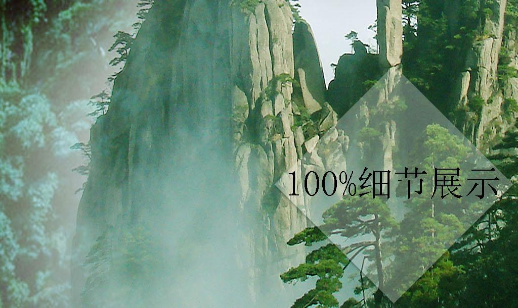 瑞德的冒险之旅中文版